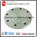 Pl Carbon & Stainless Steel Forged Plate Flange En1092-1 Pn6 Type01